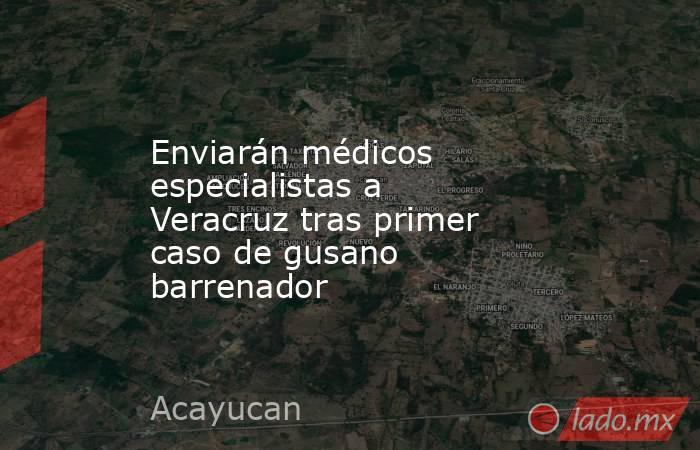 Enviarán médicos especialistas a Veracruz tras primer caso de gusano barrenador. Noticias en tiempo real