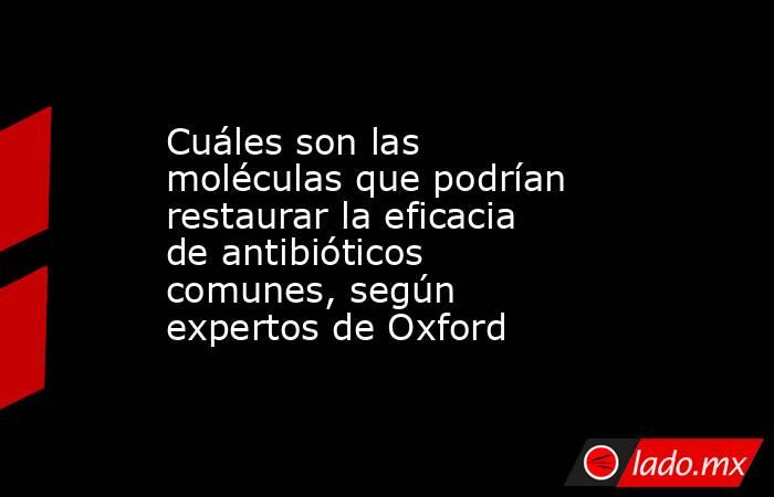 Cuáles son las moléculas que podrían restaurar la eficacia de antibióticos comunes, según expertos de Oxford. Noticias en tiempo real
