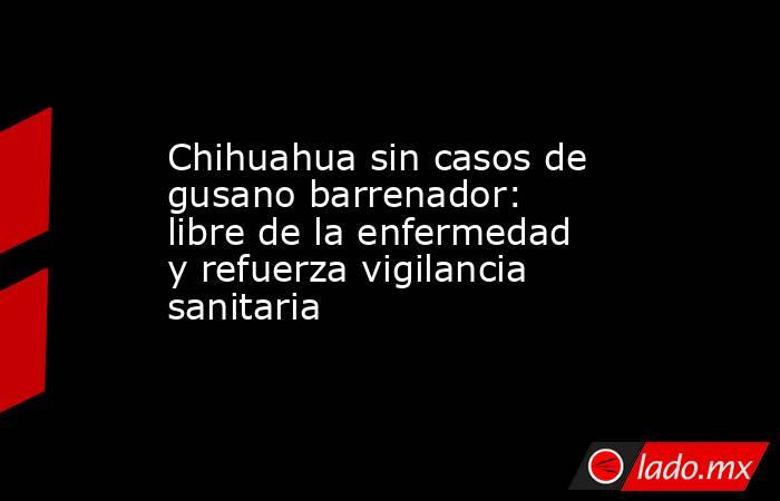 Chihuahua sin casos de gusano barrenador: libre de la enfermedad y refuerza vigilancia sanitaria. Noticias en tiempo real