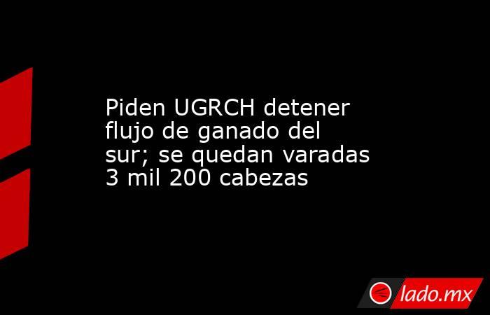 Piden UGRCH detener flujo de ganado del sur; se quedan varadas 3 mil 200 cabezas. Noticias en tiempo real