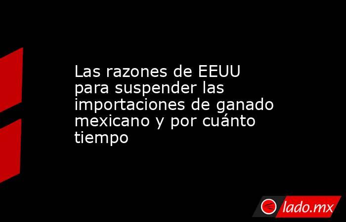 Las razones de EEUU para suspender las importaciones de ganado mexicano y por cuánto tiempo. Noticias en tiempo real