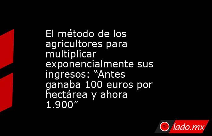El método de los agricultores para multiplicar exponencialmente sus ingresos: “Antes ganaba 100 euros por hectárea y ahora 1.900”. Noticias en tiempo real