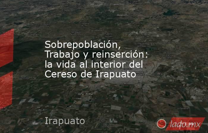 Sobrepoblación, Trabajo y reinserción: la vida al interior del Cereso de Irapuato. Noticias en tiempo real