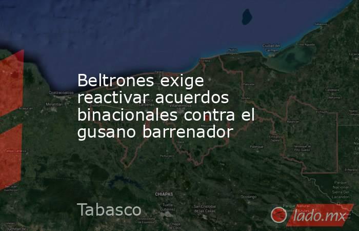 Beltrones exige reactivar acuerdos binacionales contra el gusano barrenador. Noticias en tiempo real