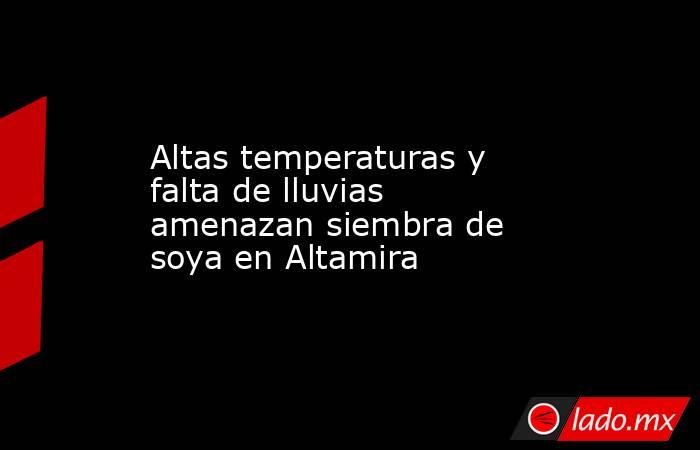 Altas temperaturas y falta de lluvias amenazan siembra de soya en Altamira. Noticias en tiempo real