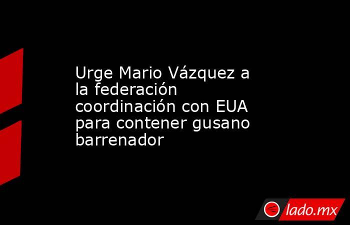 Urge Mario Vázquez a la federación coordinación con EUA para contener gusano barrenador. Noticias en tiempo real