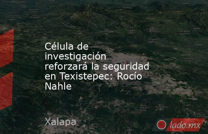 Célula de investigación reforzará la seguridad en Texistepec: Rocío Nahle. Noticias en tiempo real