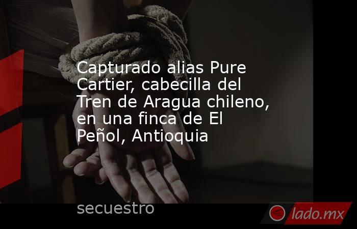 Capturado alias Pure Cartier, cabecilla del Tren de Aragua chileno, en una finca de El Peñol, Antioquia   . Noticias en tiempo real