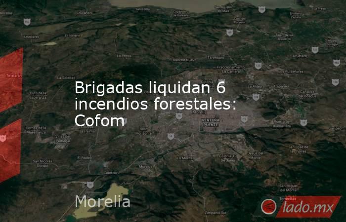 Brigadas liquidan 6 incendios forestales: Cofom. Noticias en tiempo real