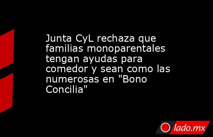 Junta CyL rechaza que familias monoparentales tengan ayudas para comedor y sean como las numerosas en 