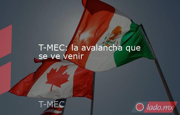 T-MEC: la avalancha que se ve venir. Noticias en tiempo real