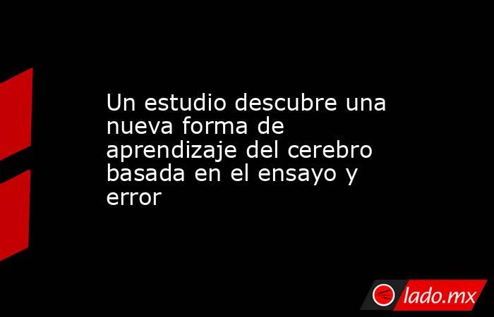 Un estudio descubre una nueva forma de aprendizaje del cerebro basada en el ensayo y error. Noticias en tiempo real