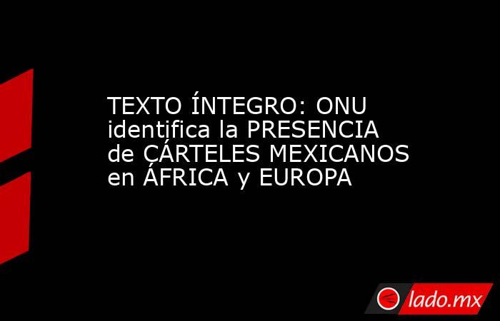 TEXTO ÍNTEGRO: ONU identifica la PRESENCIA de CÁRTELES MEXICANOS en ÁFRICA y EUROPA. Noticias en tiempo real