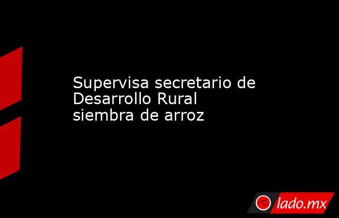 Supervisa secretario de Desarrollo Rural siembra de arroz. Noticias en tiempo real