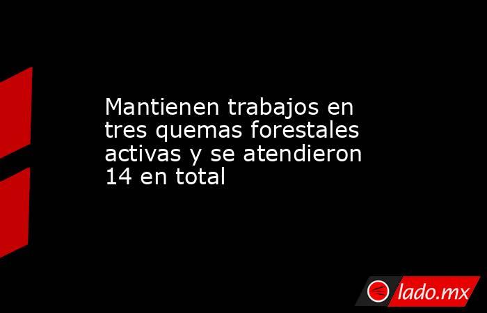 Mantienen trabajos en tres quemas forestales activas y se atendieron 14 en total. Noticias en tiempo real