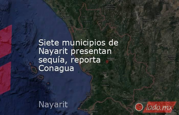 Siete municipios de Nayarit presentan sequía, reporta Conagua. Noticias en tiempo real