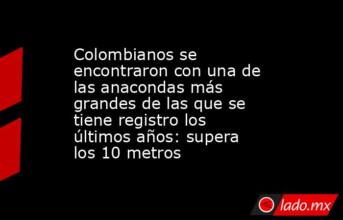 Colombianos se encontraron con una de las anacondas más grandes de las que se tiene registro los últimos años: supera los 10 metros  . Noticias en tiempo real