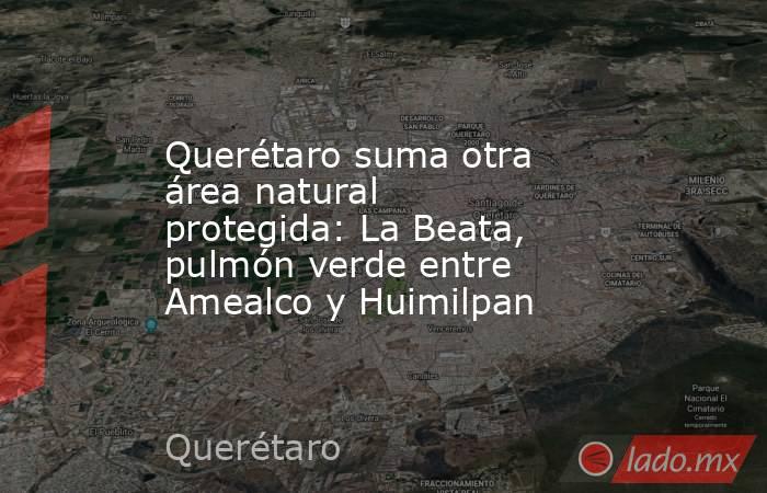 Querétaro suma otra área natural protegida: La Beata, pulmón verde entre Amealco y Huimilpan. Noticias en tiempo real
