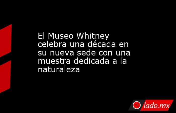 El Museo Whitney celebra una década en su nueva sede con una muestra dedicada a la naturaleza. Noticias en tiempo real