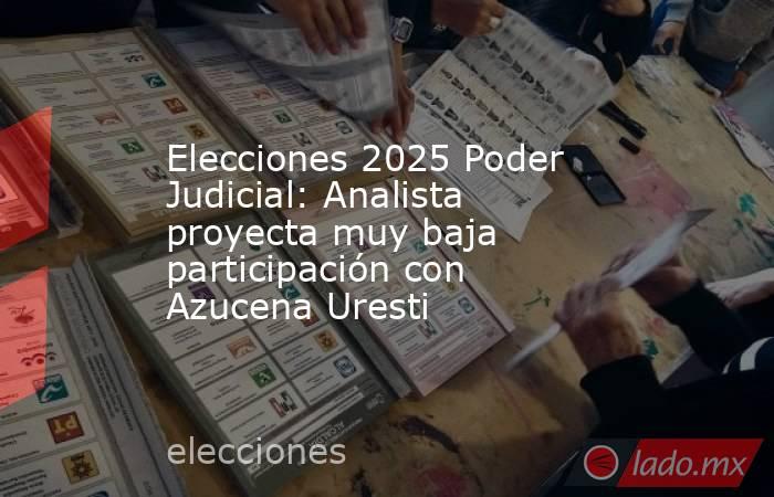 Elecciones 2025 Poder Judicial: Analista proyecta muy baja participación con Azucena Uresti . Noticias en tiempo real