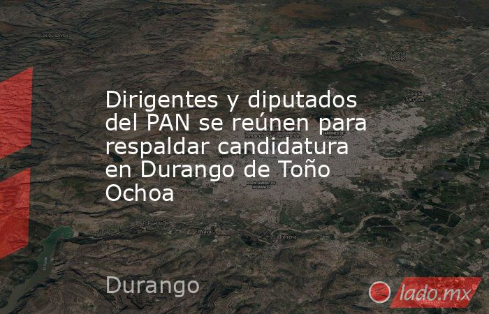Dirigentes y diputados del PAN se reúnen para respaldar candidatura en Durango de Toño Ochoa. Noticias en tiempo real