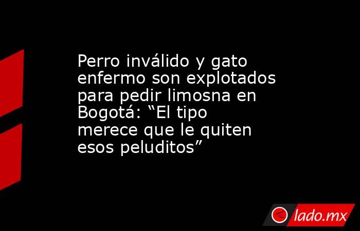Perro inválido y gato enfermo son explotados para pedir limosna en Bogotá: “El tipo merece que le quiten esos peluditos”. Noticias en tiempo real