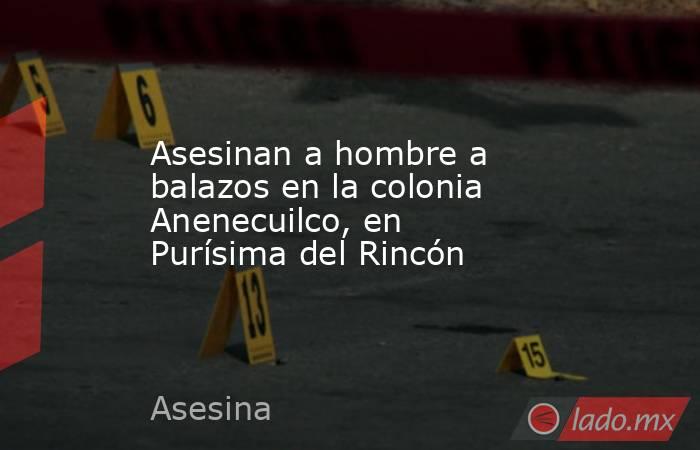 Asesinan a hombre a balazos en la colonia Anenecuilco, en Purísima del Rincón. Noticias en tiempo real