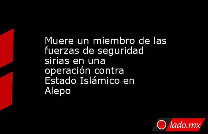Muere un miembro de las fuerzas de seguridad sirias en una operación contra Estado Islámico en Alepo. Noticias en tiempo real