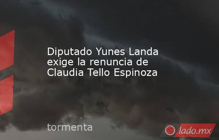 Diputado Yunes Landa exige la renuncia de Claudia Tello Espinoza. Noticias en tiempo real