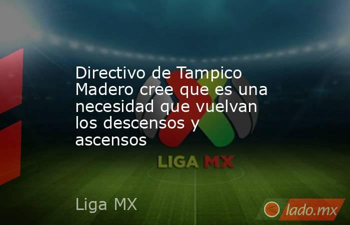 Directivo de Tampico Madero cree que es una necesidad que vuelvan los descensos y ascensos. Noticias en tiempo real