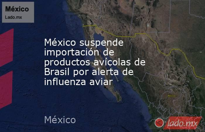 México suspende importación de productos avícolas de Brasil por alerta de influenza aviar. Noticias en tiempo real