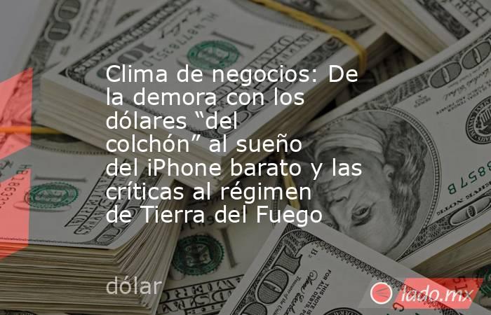 Clima de negocios: De la demora con los dólares “del colchón” al sueño del iPhone barato y las críticas al régimen de Tierra del Fuego. Noticias en tiempo real