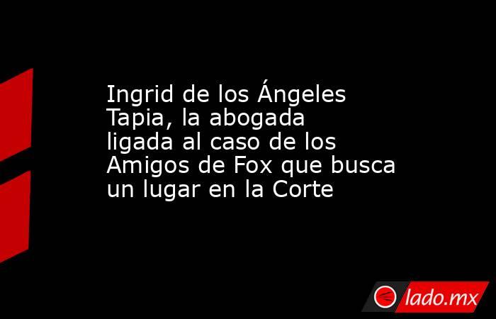 Ingrid de los Ángeles Tapia, la abogada ligada al caso de los Amigos de Fox que busca un lugar en la Corte. Noticias en tiempo real