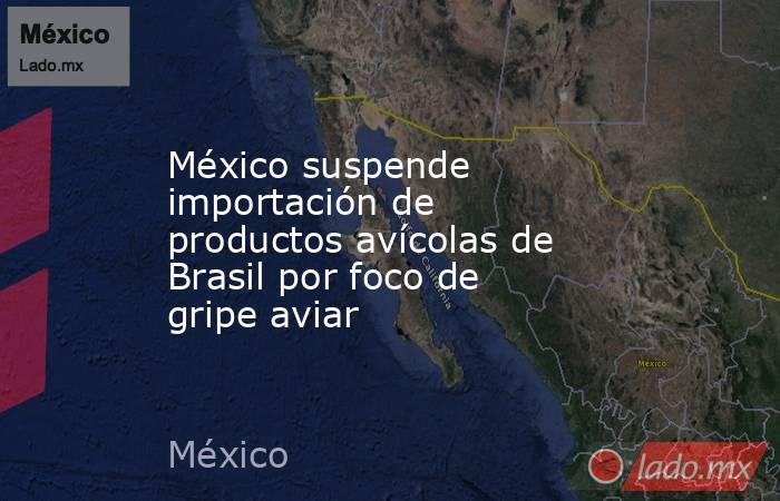 México suspende importación de productos avícolas de Brasil por foco de gripe aviar. Noticias en tiempo real