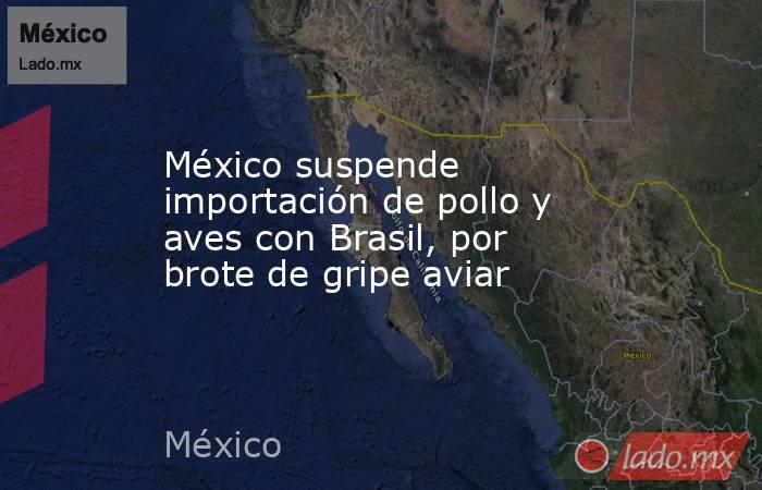 México suspende importación de pollo y aves con Brasil, por brote de gripe aviar. Noticias en tiempo real