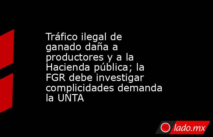Tráfico ilegal de ganado daña a productores y a la Hacienda pública; la FGR debe investigar complicidades demanda la UNTA. Noticias en tiempo real