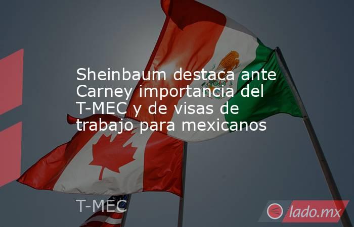 Sheinbaum destaca ante Carney importancia del T-MEC y de visas de trabajo para mexicanos. Noticias en tiempo real