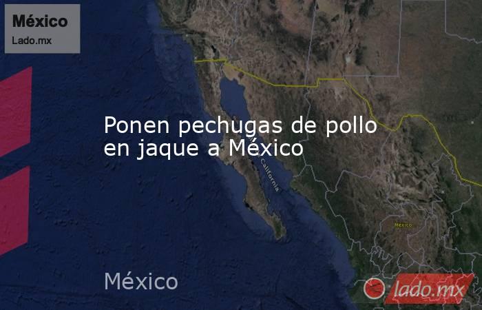 Ponen pechugas de pollo en jaque a México. Noticias en tiempo real