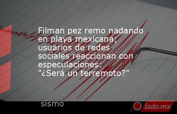 Filman pez remo nadando en playa mexicana; usuarios de redes sociales reaccionan con especulaciones: 