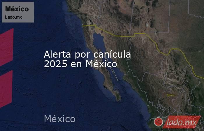 Alerta por canícula 2025 en México. Noticias en tiempo real