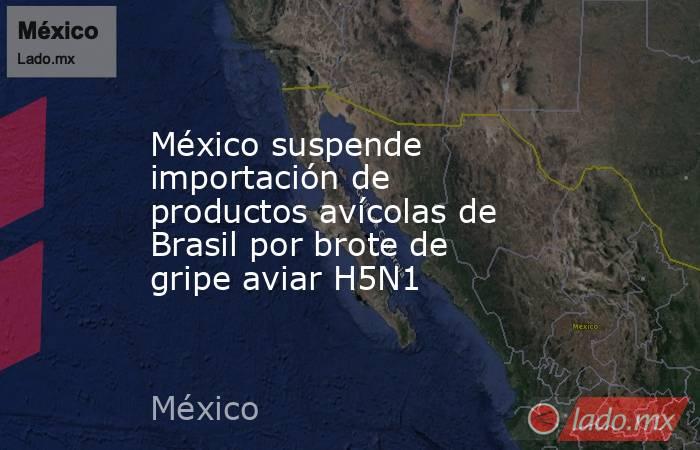 México suspende importación de productos avícolas de Brasil por brote de gripe aviar H5N1. Noticias en tiempo real