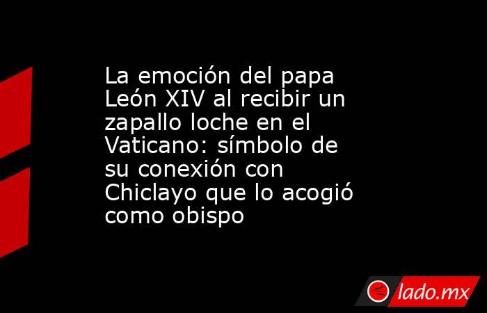 La emoción del papa León XIV al recibir un zapallo loche en el Vaticano: símbolo de su conexión con Chiclayo que lo acogió como obispo. Noticias en tiempo real