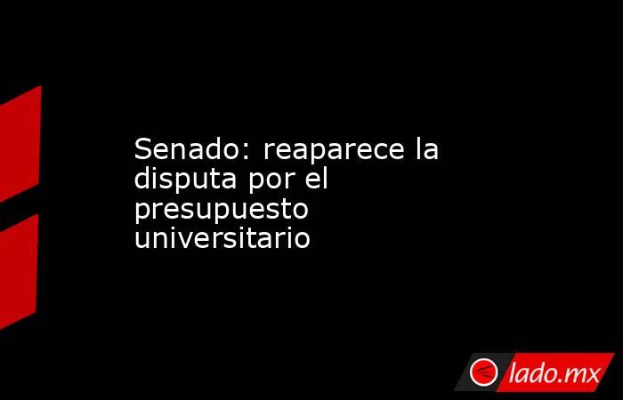 Senado: reaparece la disputa por el presupuesto universitario. Noticias en tiempo real