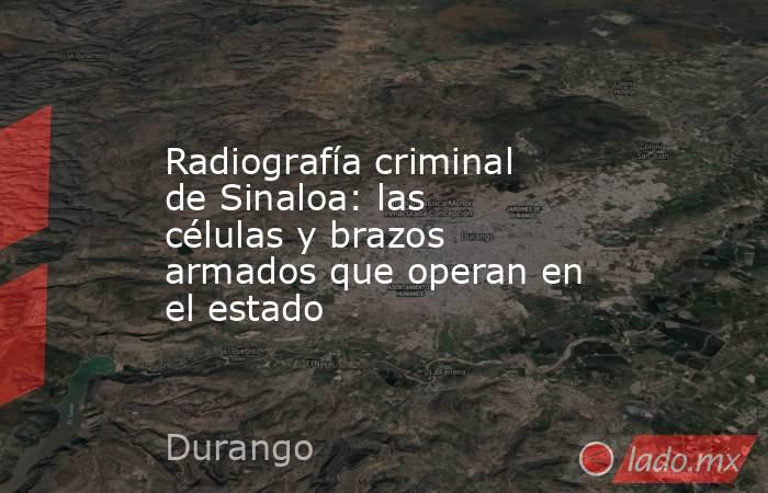 Radiografía criminal de Sinaloa: las células y brazos armados que operan en el estado. Noticias en tiempo real