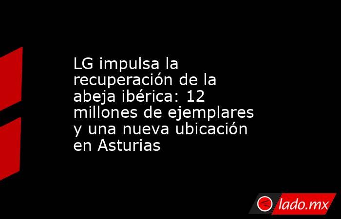 LG impulsa la recuperación de la abeja ibérica: 12 millones de ejemplares y una nueva ubicación en Asturias. Noticias en tiempo real