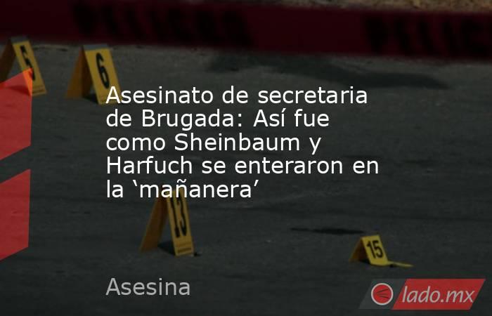 Asesinato de secretaria de Brugada: Así fue como Sheinbaum y Harfuch se enteraron en la ‘mañanera’. Noticias en tiempo real