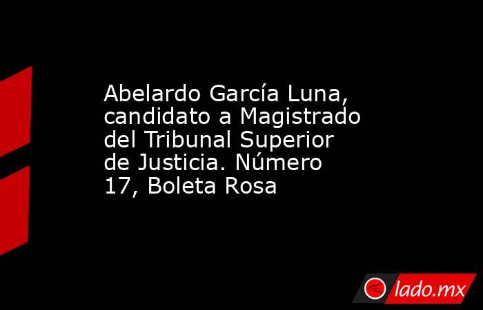 Abelardo García Luna, candidato a Magistrado del Tribunal Superior de Justicia. Número 17, Boleta Rosa. Noticias en tiempo real