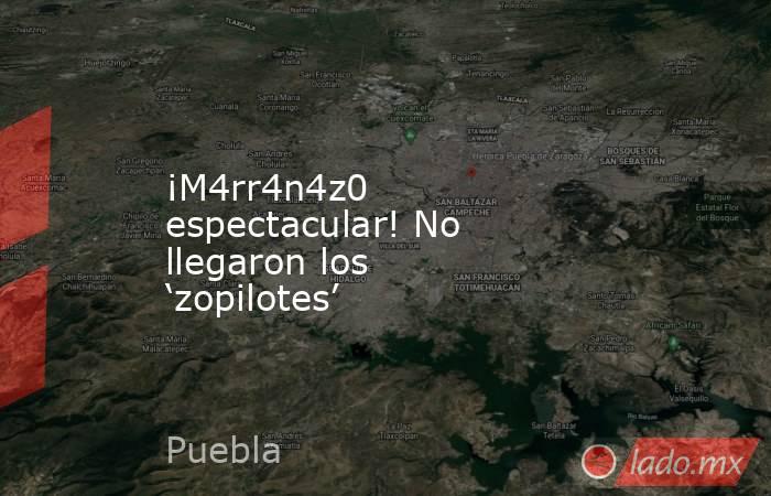¡M4rr4n4z0 espectacular! No llegaron los ‘zopilotes’. Noticias en tiempo real