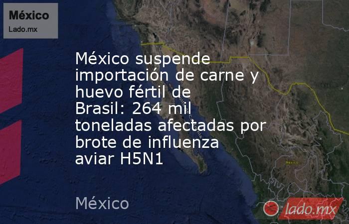 México suspende importación de carne y huevo fértil de Brasil: 264 mil toneladas afectadas por brote de influenza aviar H5N1. Noticias en tiempo real