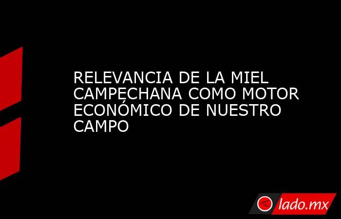 RELEVANCIA DE LA MIEL CAMPECHANA COMO MOTOR ECONÓMICO DE NUESTRO CAMPO. Noticias en tiempo real